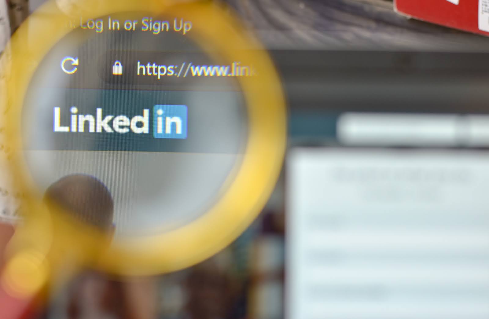 The Aftermath of Negative LinkedIn Posts Online - White Lily Reputation